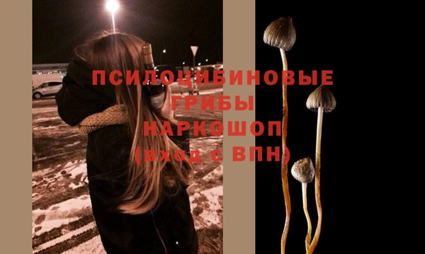 каннабис Новокубанск
