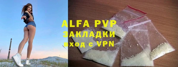 молекула духа Няндома