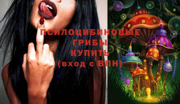 каннабис Новозыбков