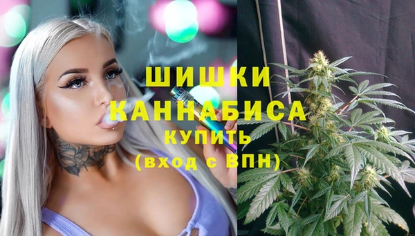 каннабис Новозыбков
