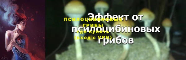 каннабис Новозыбков