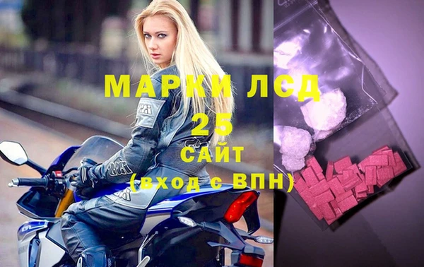 молекула духа Няндома