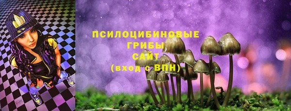молекула духа Няндома
