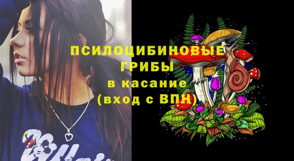 гидропоника Новодвинск