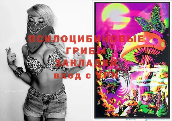 хмурый Нягань