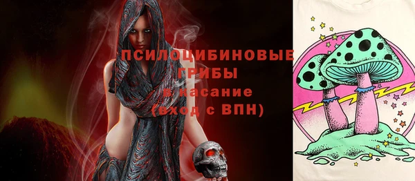 каннабис Новозыбков