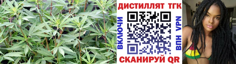 ТГК концентрат  Болхов 